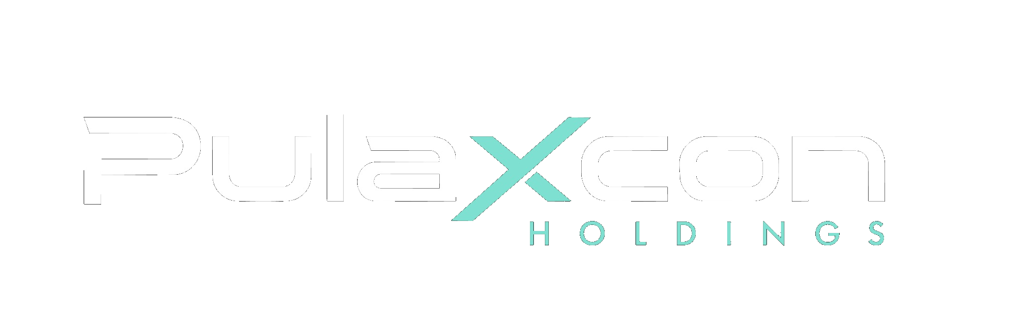 PulaXcon Holdings